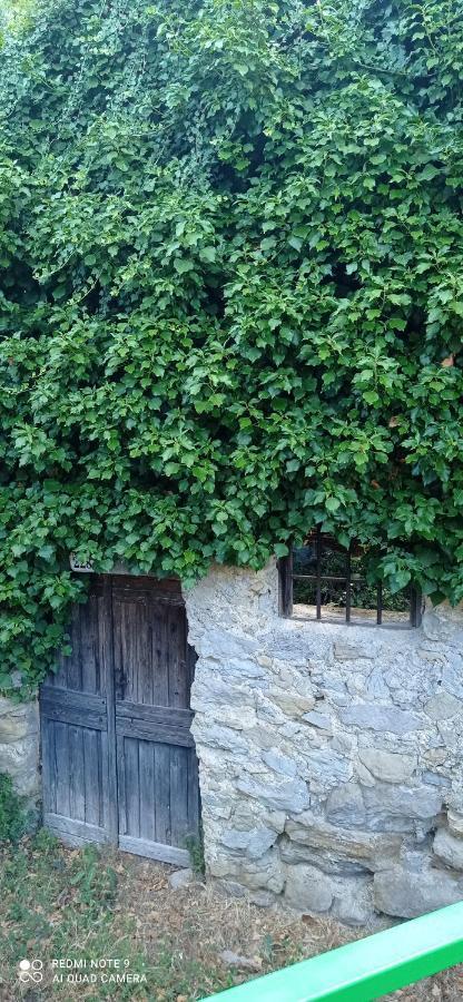 Agriturismo Vecchio Frantoio Villatella Экстерьер фото