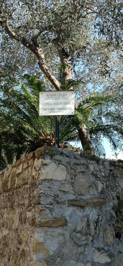 Agriturismo Vecchio Frantoio Villatella Экстерьер фото